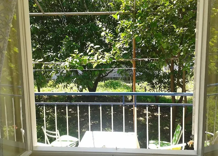 בית הארחה And Laguna